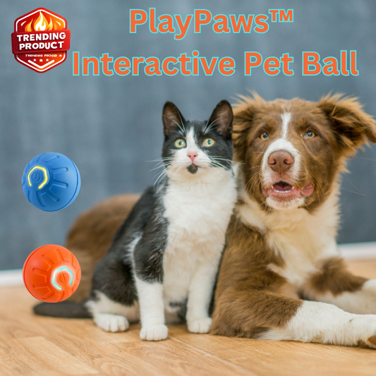 PlayPaws™ Interactive Pet Ball